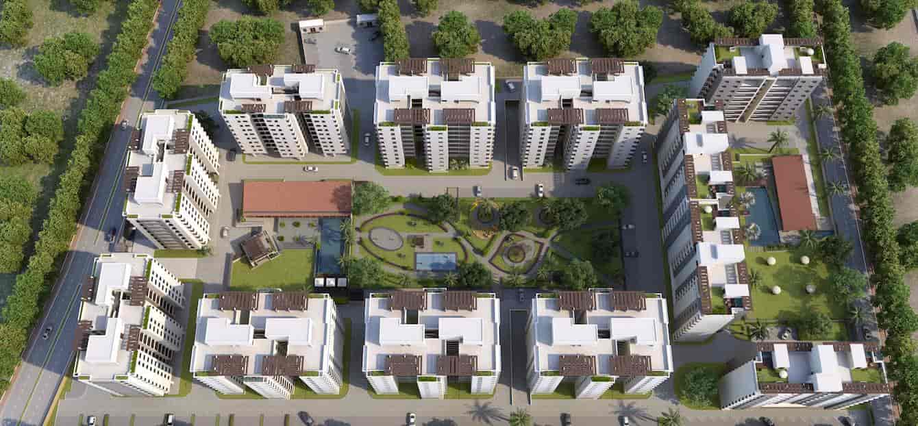 samsara birds view